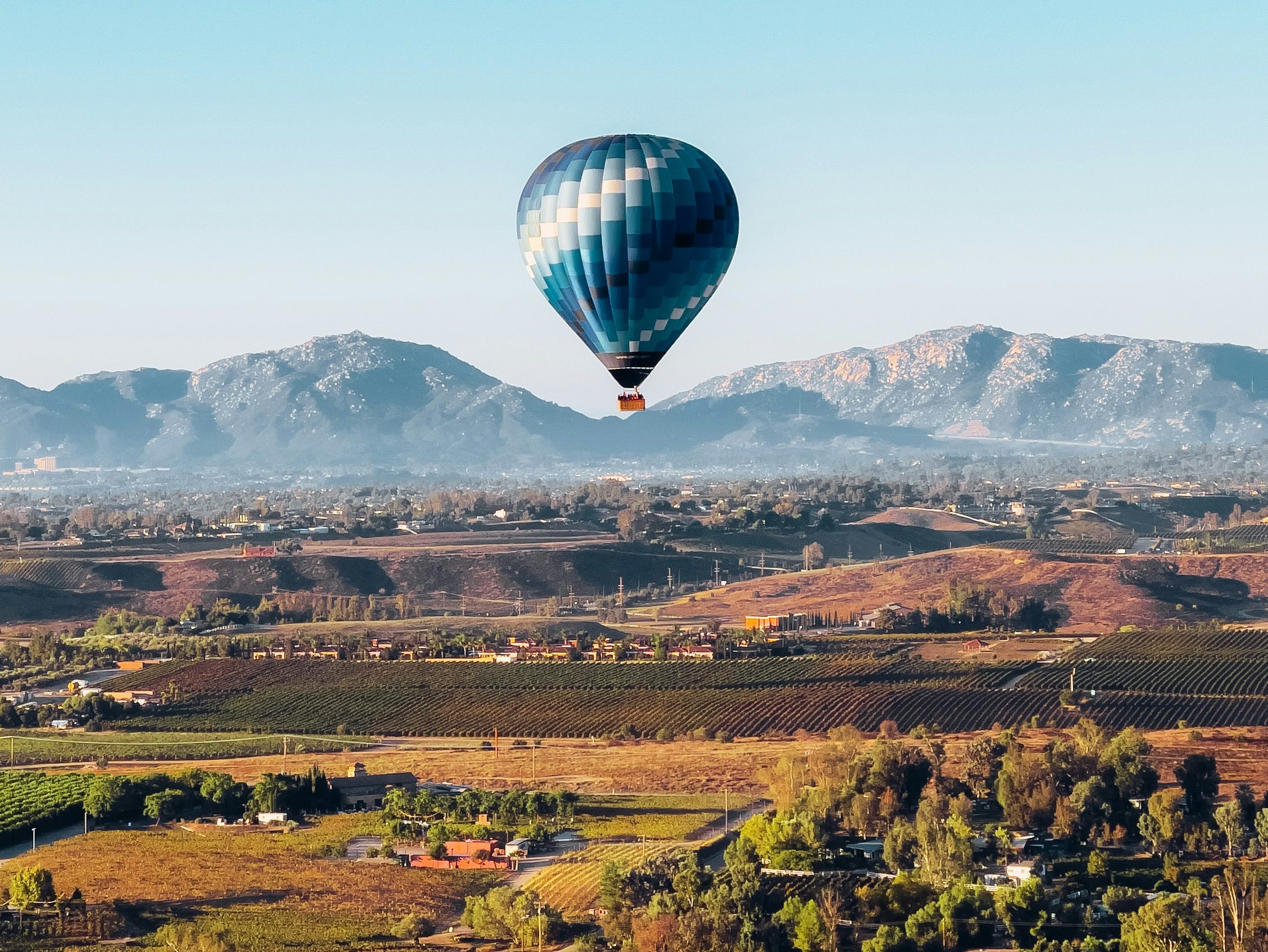 Hot hair balloon over a field